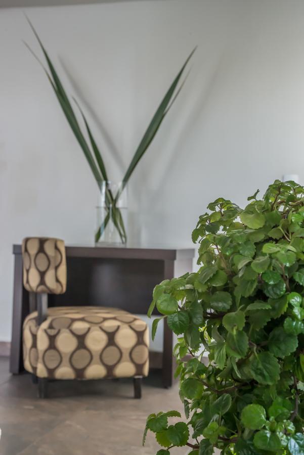 Hotel Imperial Luxury San Martín Texmelucan de Labastida 外观 照片